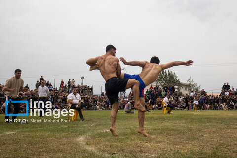 مسابقات کشتی لوچو قهرمانی کشور