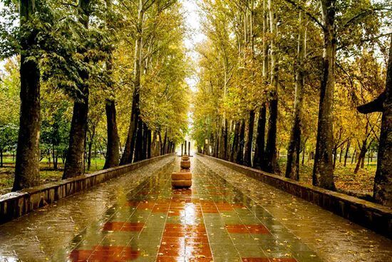 رگبار پراکنده در شمال و جنوب کشور/ وزش باد شدید و خیزش گرد و خاک در این استان‌ها