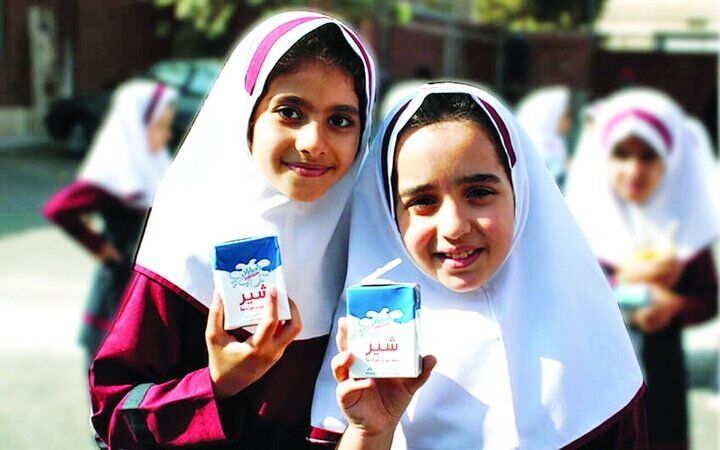مصرف لبنیات در کشور نصف استاندارد است/ توزیع شیر مدارس تا ۲ هفته آینده