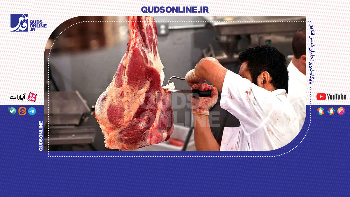 فیلم | گوشت تنظیم بازار هست یا نیست؟