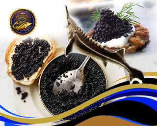 خیز بابلی‌ها برای تولید مروارید سیاه