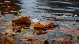 پاییز خشک‌تر از تابستان