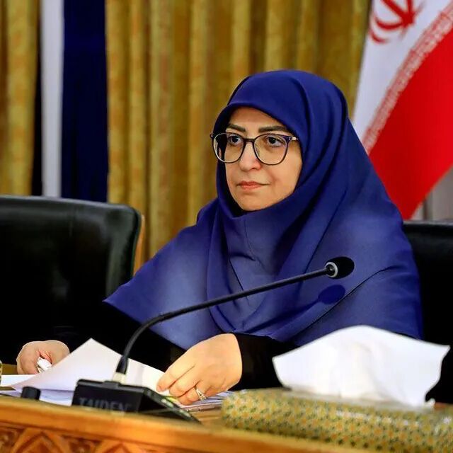 رئیس سازمان حفاظت محیط زیست: اصلاح قانون حمل سلاح به زودی به صحن مجلس ارائه می شود 