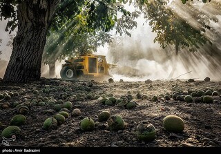 عکس منتخب هفته | از شصت سالگی تماشاخانه سنگلج تا ثبت جهانی روستای "سهیلی"