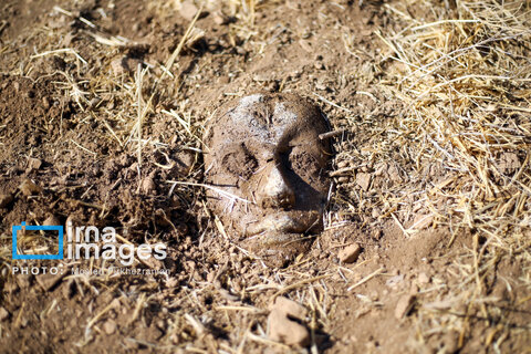 اجرای هنر محیطی توسط هنرمندان زاگرس‌نشین