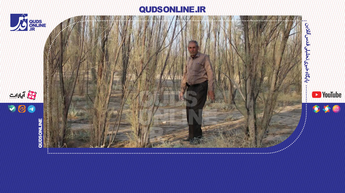فیلم | راننده کامیونی که با همت بلندش ۸۵ هکتار شوره‌زار را درخت‌کاری کرد!