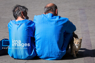 در حاشیه طرح دستگیری سارقان خشن و زورگیر