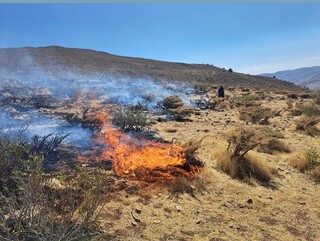عامل آتش‌سوزی در مراتع شول سپیدان دستگیر شد