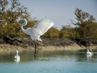 «خورخوران» ملودی پنهان خلیج‌فارس