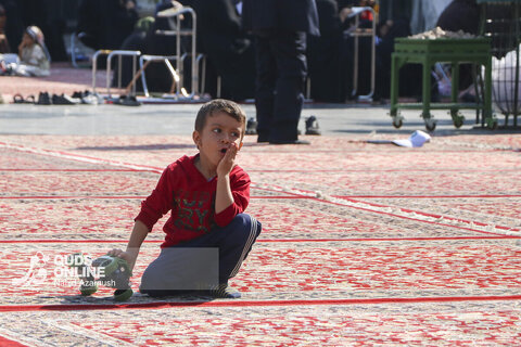 گزارش تصویری | خدمت فرش در حرم امام رضا (ع)