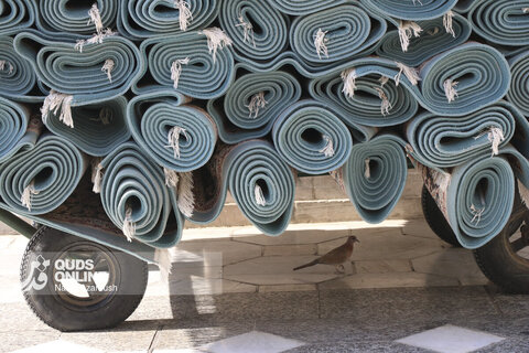 گزارش تصویری | خدمت فرش در حرم امام رضا (ع)