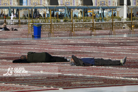 گزارش تصویری | خدمت فرش در حرم امام رضا (ع)