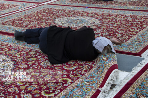 گزارش تصویری | خدمت فرش در حرم امام رضا (ع)