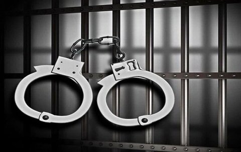 ۲ قُرق‌بان به جرم تبانی با قاچاقچیان چوب در مازندران دستگیر شدند