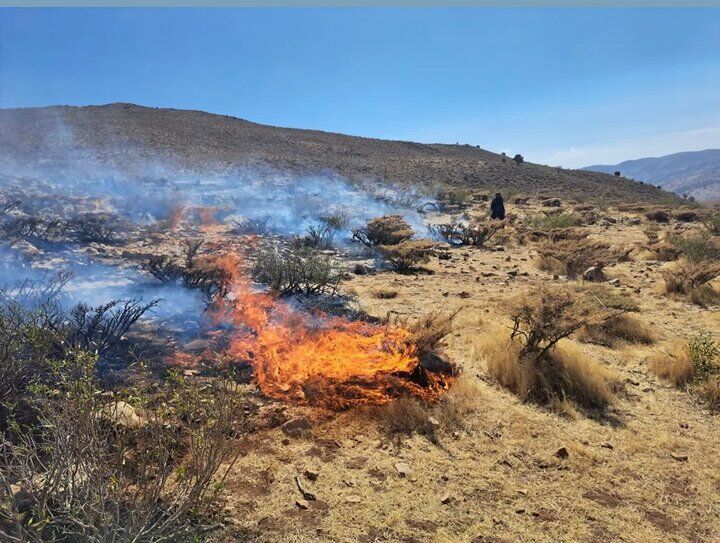 عامل آتش‌سوزی در مراتع شول سپیدان دستگیر شد