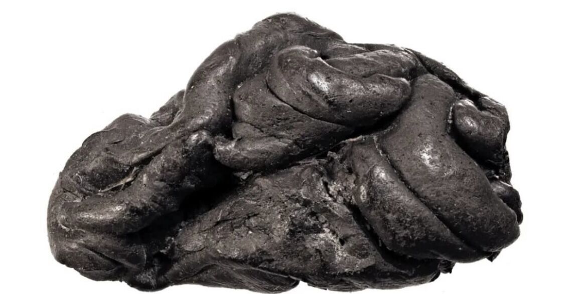 فیلم | کشف آدامس ۶ هزار ساله