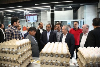 بازدید سرزده استاندار خراسان رضوی از بازار گوشت، مرغ و برنج در میدان استقلال مشهد