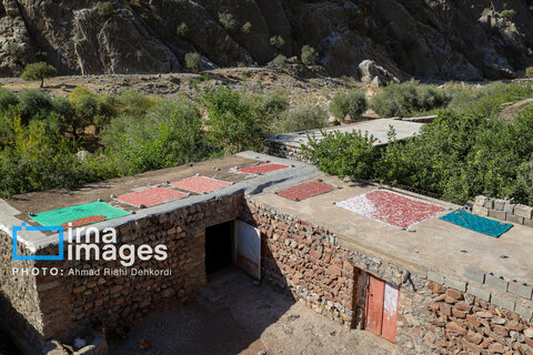 تک عکس | پشت‌بام های ترش و شیرین روستای مشایخ