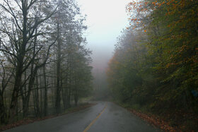 گزارش تصویری | طبیعت زیبای پاییزی جاده اسالم به خلخال