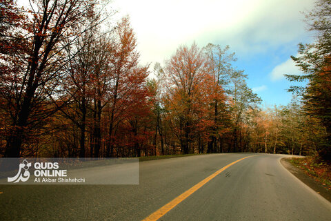 گزارش تصویری | طبیعت زیبای پاییزی جاده اسالم به خلخال