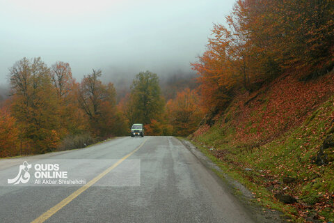 گزارش تصویری | طبیعت زیبای پاییزی جاده اسالم به خلخال