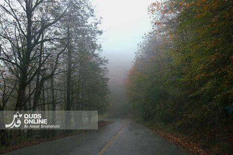 گزارش تصویری | طبیعت زیبای پاییزی جاده اسالم به خلخال