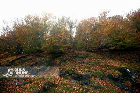 گزارش تصویری | طبیعت زیبای پاییزی جاده اسالم به خلخال