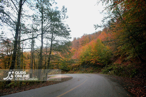 گزارش تصویری | طبیعت زیبای پاییزی جاده اسالم به خلخال