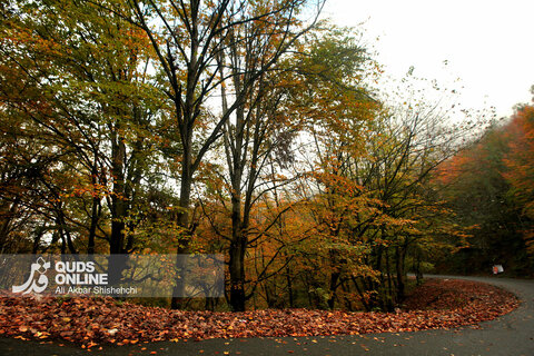 گزارش تصویری | طبیعت زیبای پاییزی جاده اسالم به خلخال