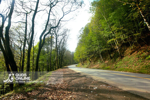گزارش تصویری | طبیعت زیبای پاییزی جاده اسالم به خلخال
