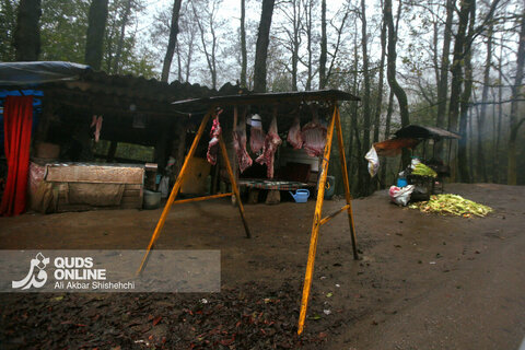 گزارش تصویری | طبیعت زیبای پاییزی جاده اسالم به خلخال