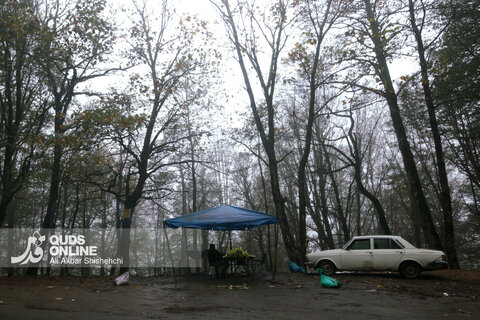 گزارش تصویری | طبیعت زیبای پاییزی جاده اسالم به خلخال