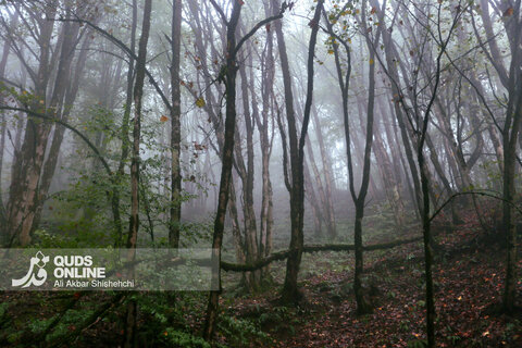 گزارش تصویری | طبیعت زیبای پاییزی جاده اسالم به خلخال