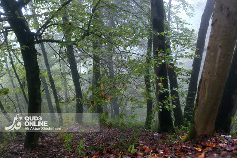 گزارش تصویری | طبیعت زیبای پاییزی جاده اسالم به خلخال