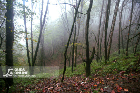 گزارش تصویری | طبیعت زیبای پاییزی جاده اسالم به خلخال