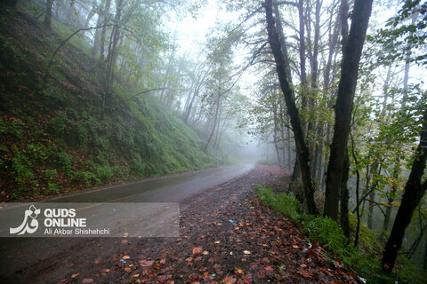 گزارش تصویری | طبیعت زیبای پاییزی جاده اسالم به خلخال