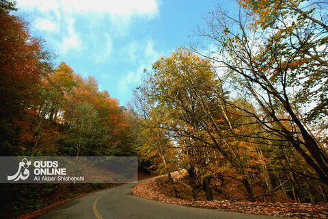 گزارش تصویری | طبیعت زیبای پاییزی جاده اسالم به خلخال
