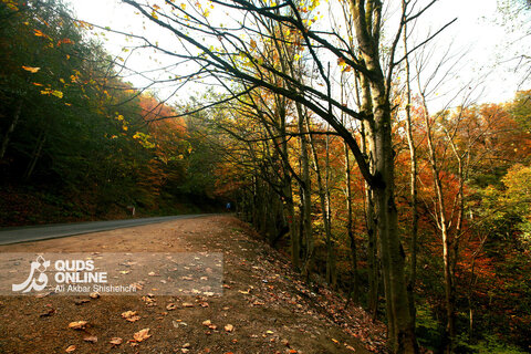 گزارش تصویری | طبیعت زیبای پاییزی جاده اسالم به خلخال