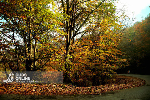 گزارش تصویری | طبیعت زیبای پاییزی جاده اسالم به خلخال