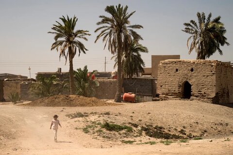 بحران شور شدن آب کشاورزی در جنوب عراق