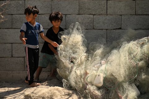 بحران شور شدن آب کشاورزی در جنوب عراق