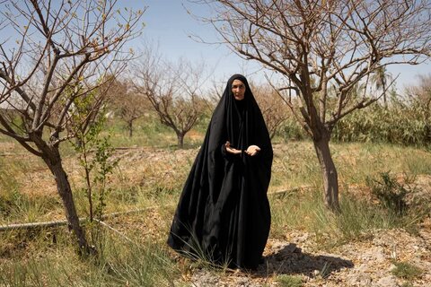 بحران شور شدن آب کشاورزی در جنوب عراق