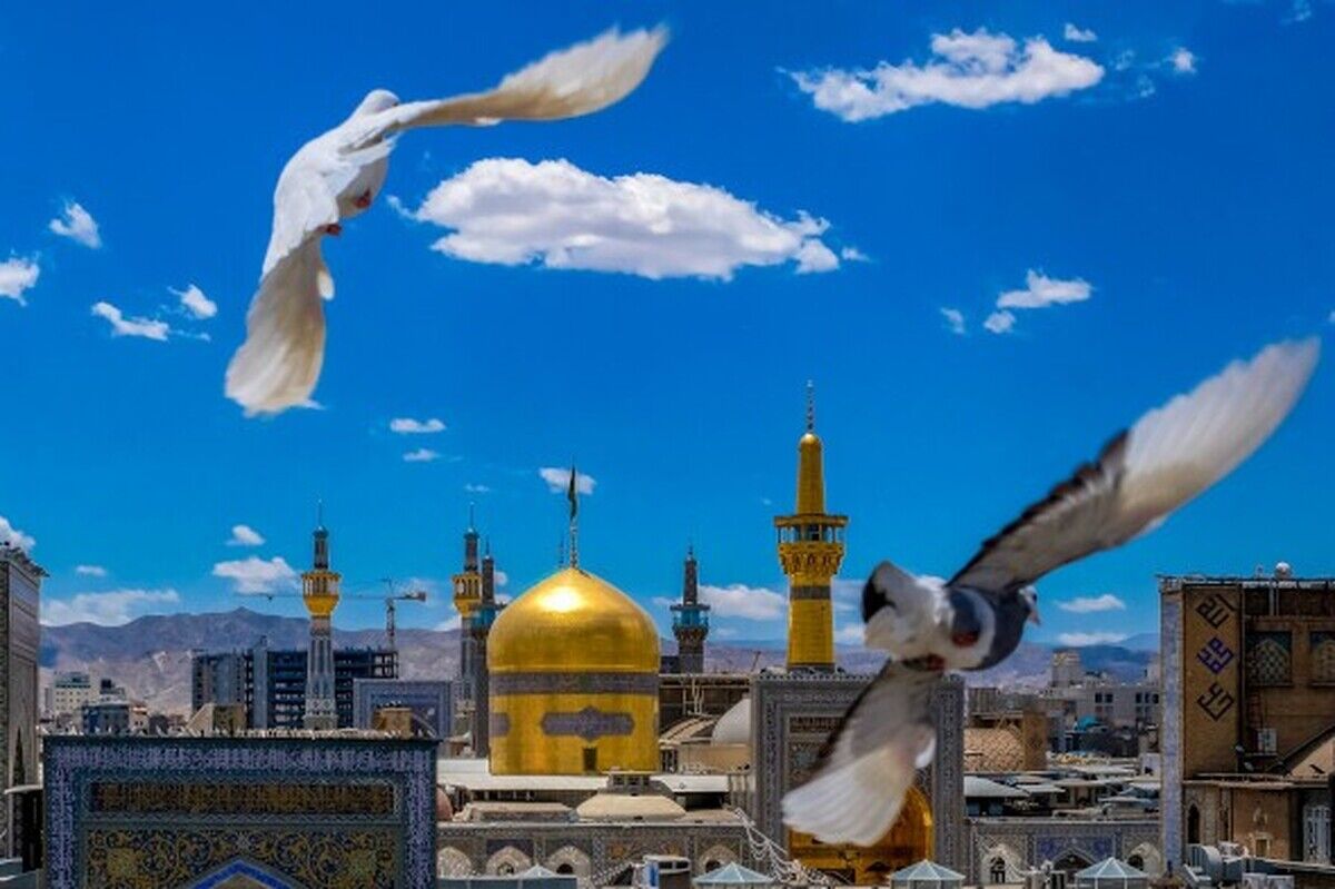 کاروان دل‌های صادق از کوه چنار فارس تا مشهدالرضا