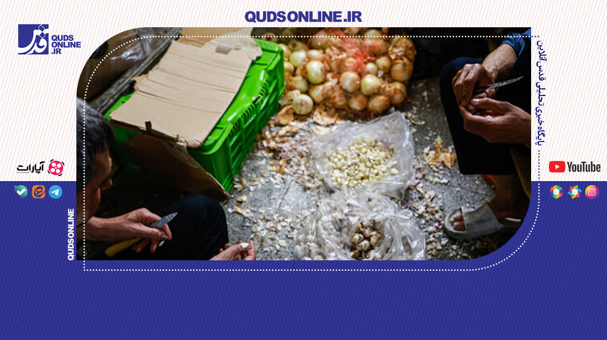 فیلم | فاجعه در آشپزخانه بیمارستان فیروزگر!