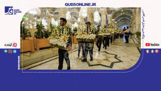 فیلم | گل‌آرایی ضریح امیرالمومنین(ع) به‌مناسبت ولادت حضرت زینب(س)