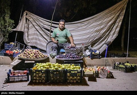 در تکاپوی یک لقمه نان