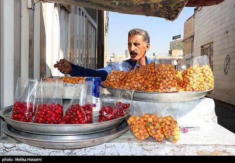 در تکاپوی یک لقمه نان