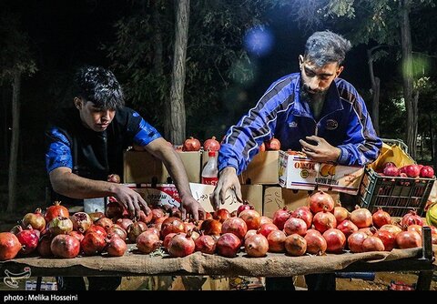 در تکاپوی یک لقمه نان
