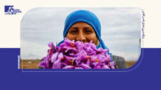 فیلم | زعفران و خراسان؛ لبخند امید مردم سخت‌کوش سرزمین طلای سرخ