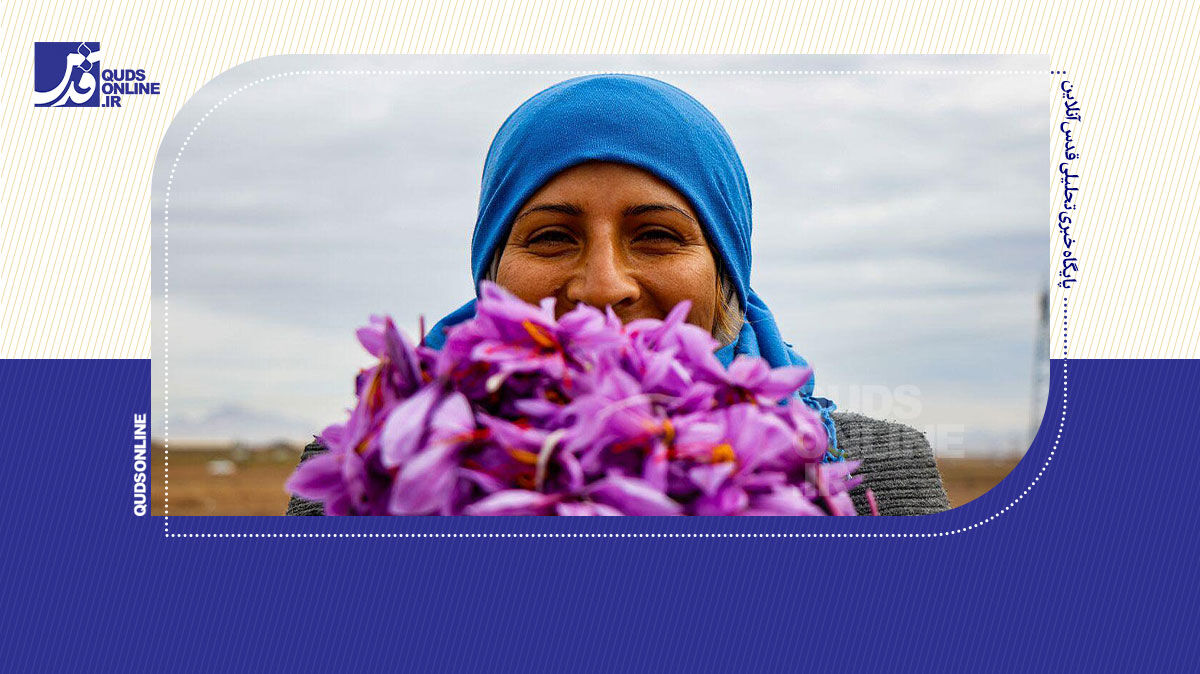 فیلم | زعفران و خراسان؛ لبخند امید مردم سخت‌کوش سرزمین طلای سرخ